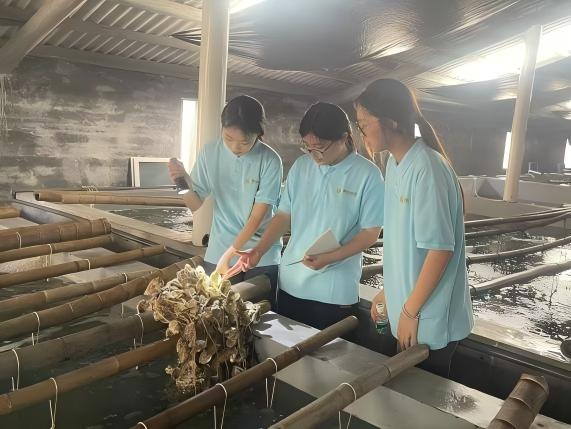 图片(4).jpg 图片(4).jpg