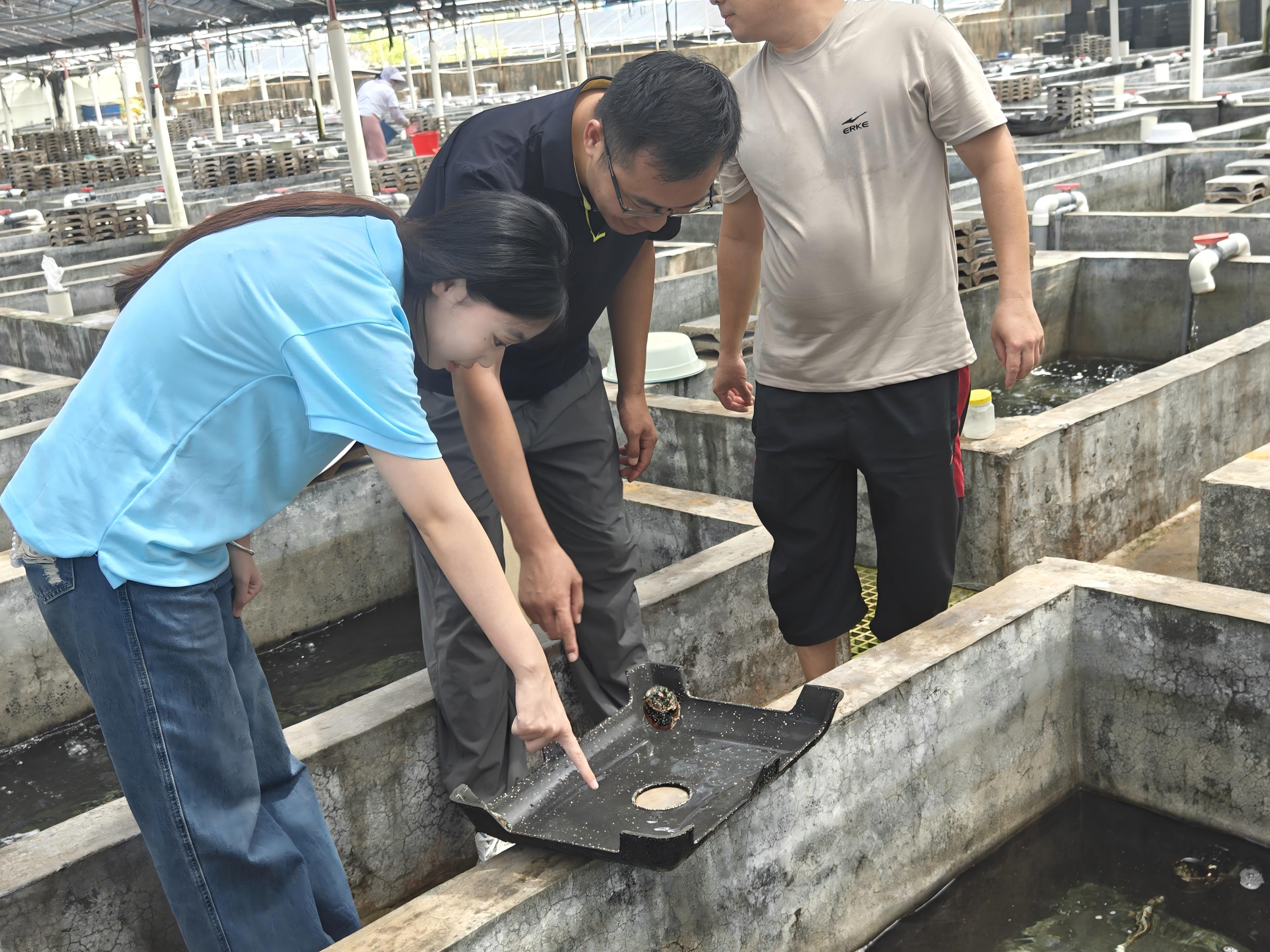 图片(7).jpg 图片(7).jpg