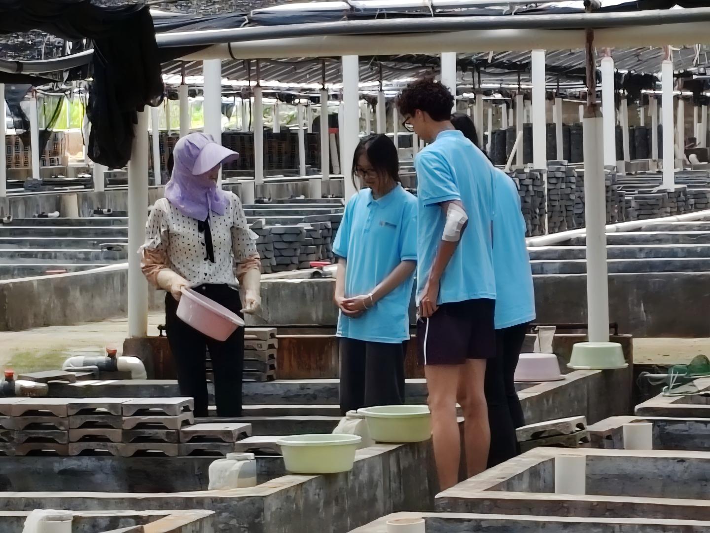 图片(2).jpg 图片(2).jpg