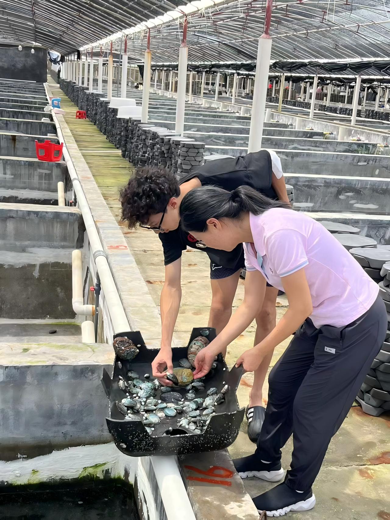 图片(4).jpg 图片(4).jpg