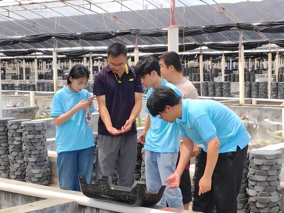 图片(6).jpg 图片(6).jpg