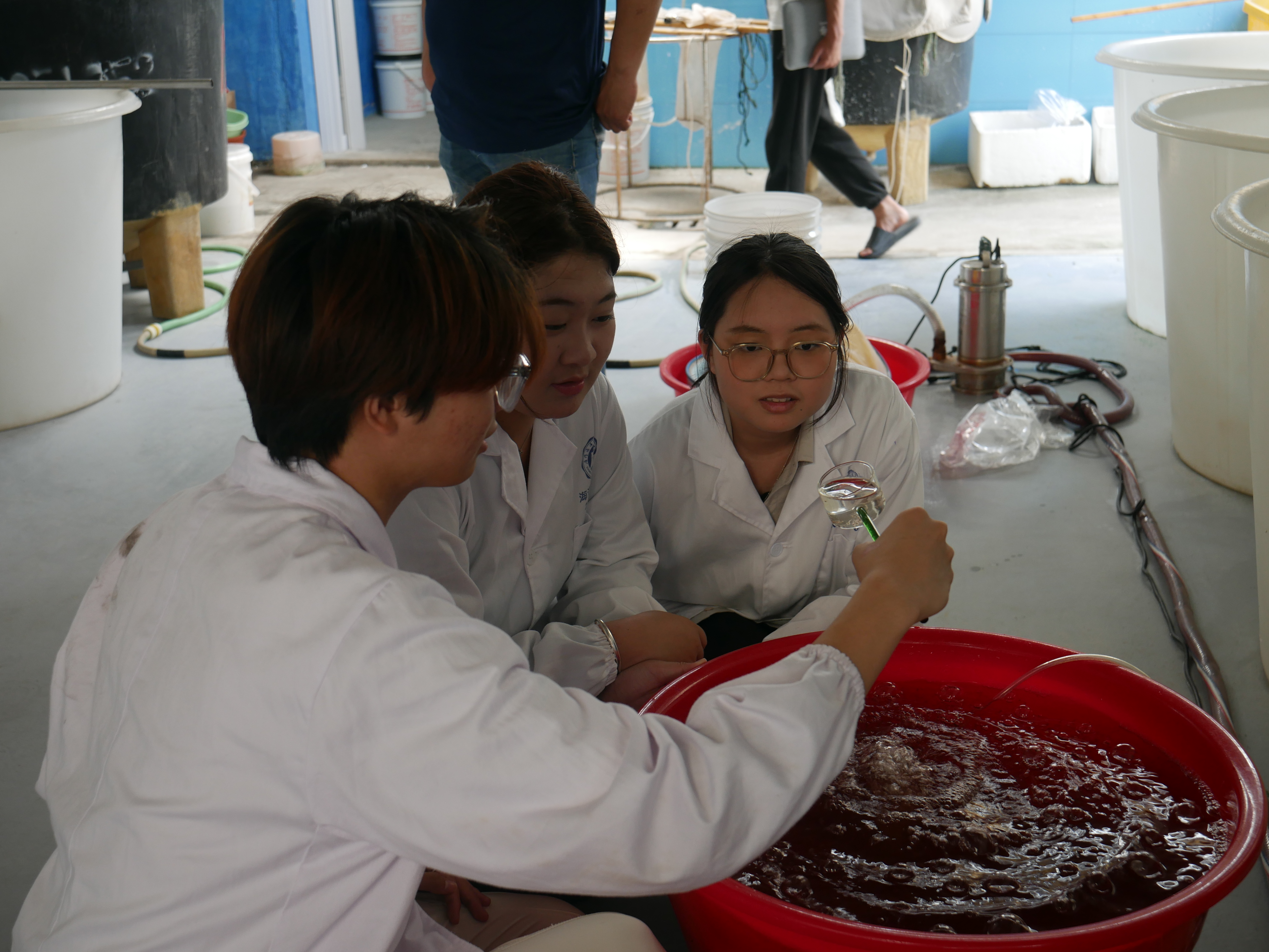 3团队成员在养殖现场观察罗氏沼虾生长状况.jpg 3团队成员在养殖现场观察罗氏沼虾生长状况.jpg