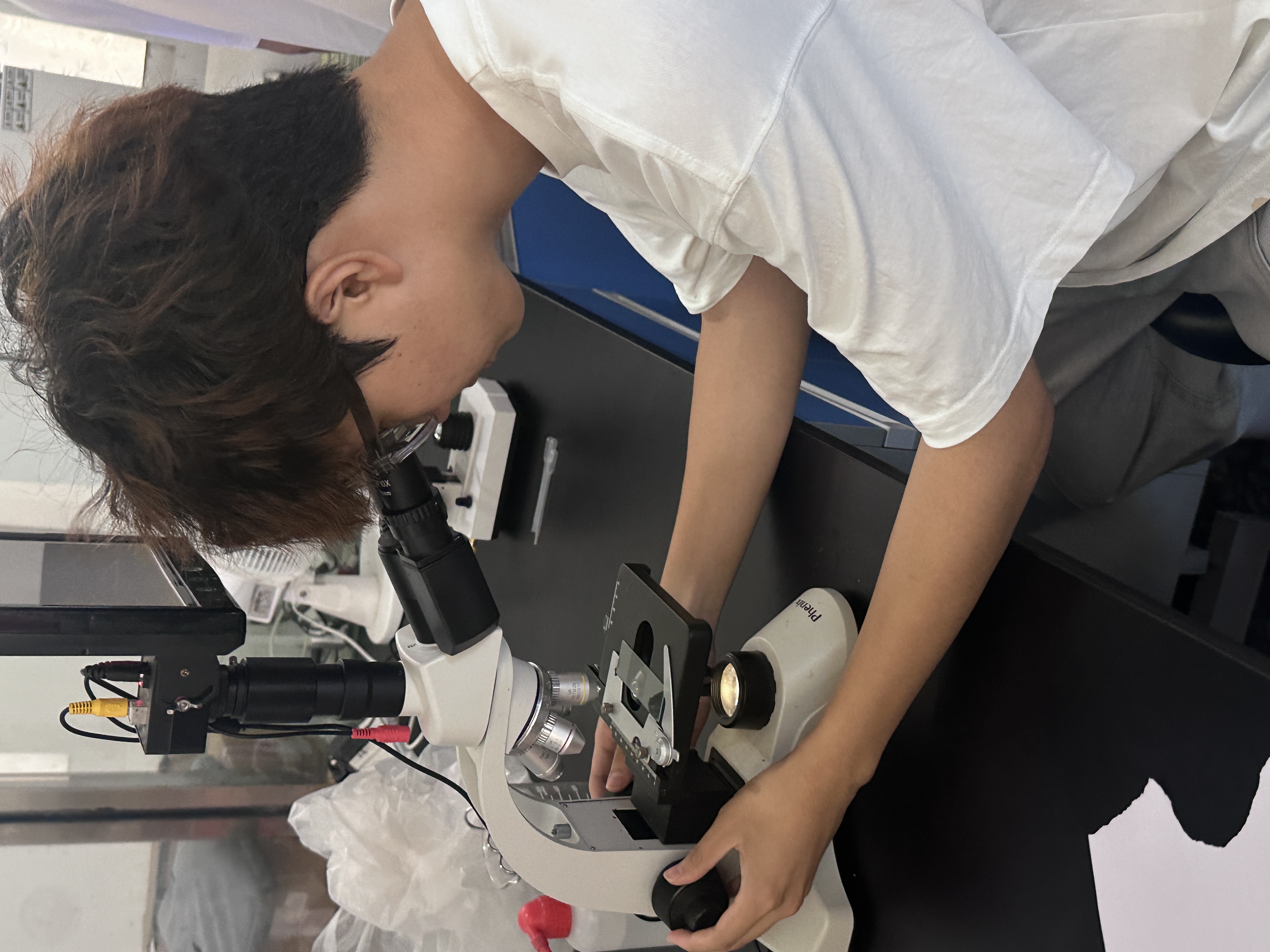 11对养殖水质进行藻相分析.jpg 11对养殖水质进行藻相分析.jpg