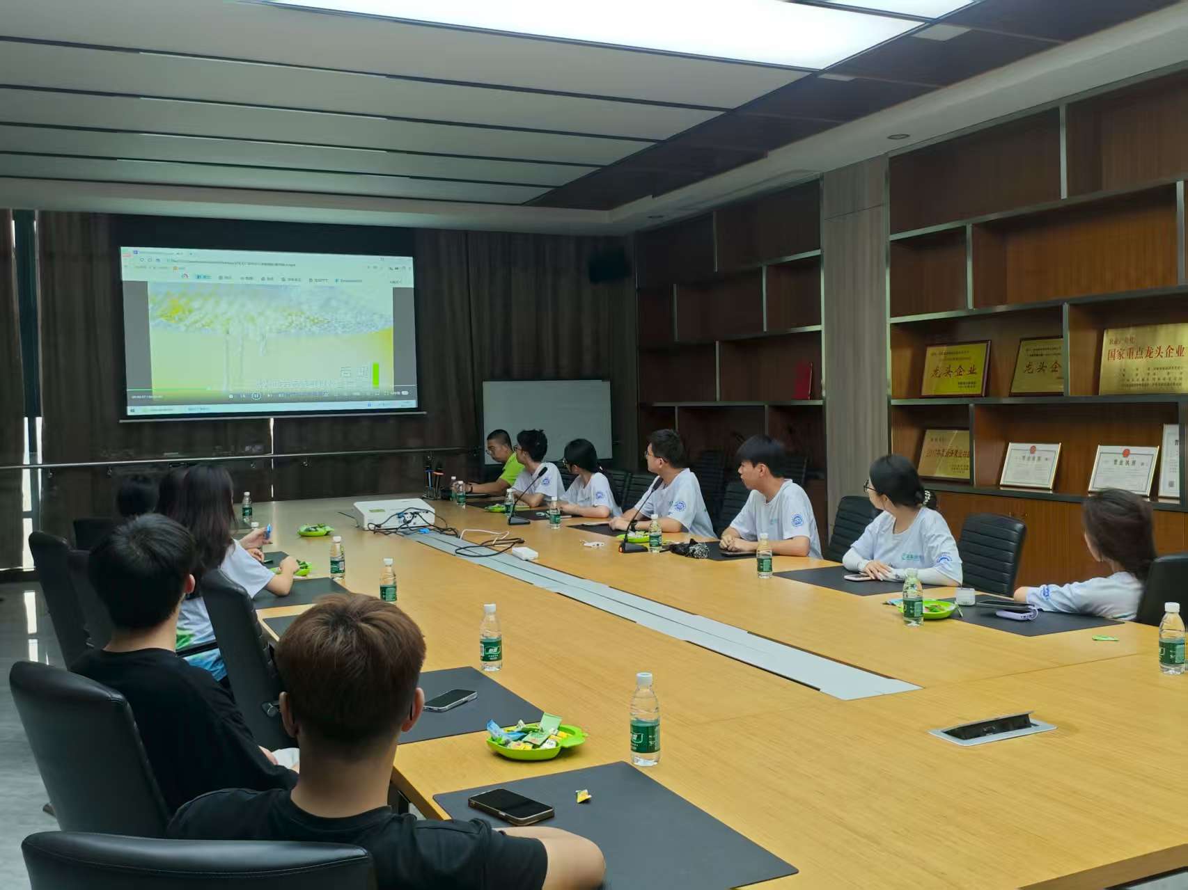 溜溜梅5.jpg 溜溜梅5.jpg