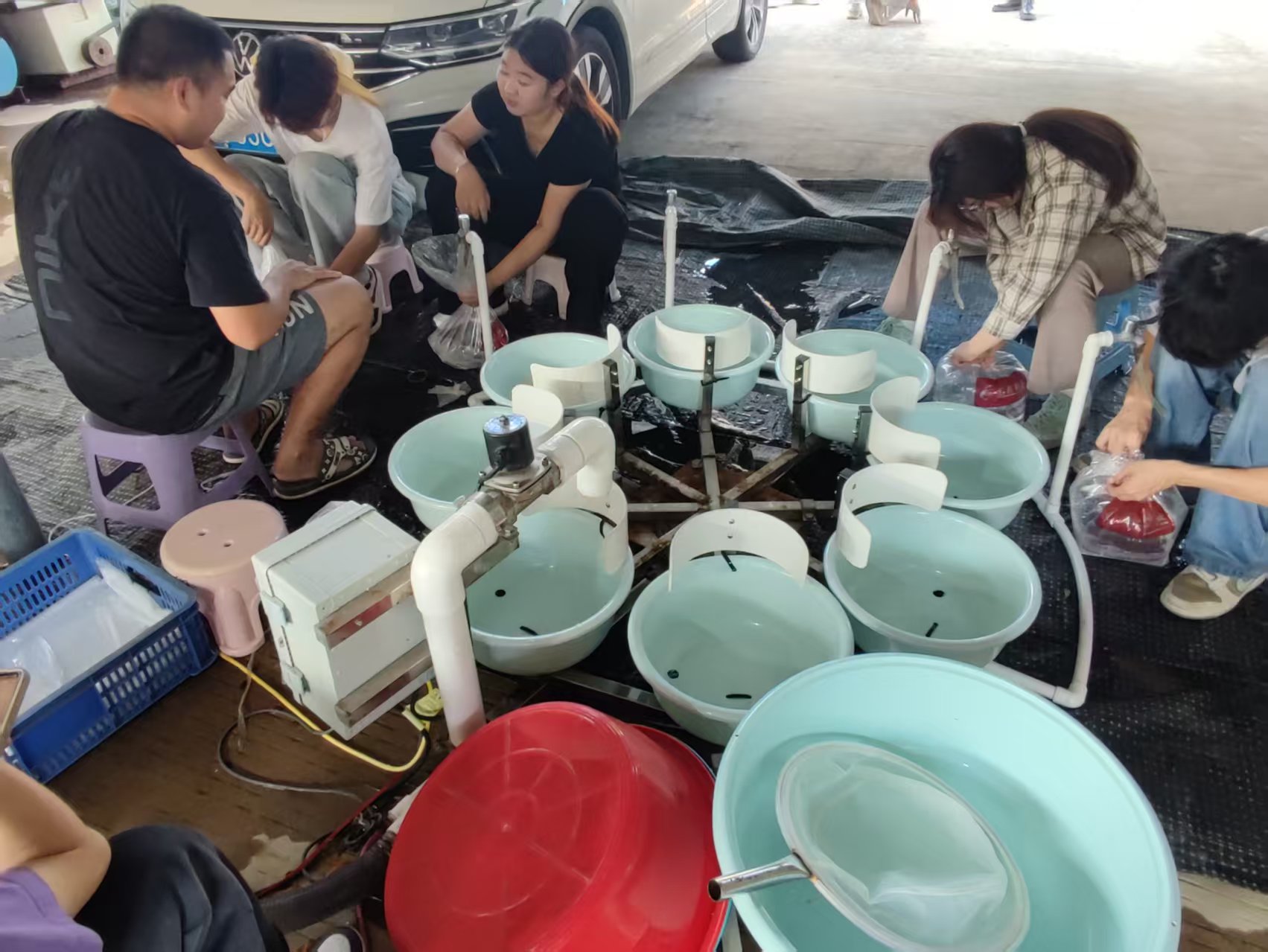 8实践队打包罗氏沼虾幼苗.jpg 8实践队打包罗氏沼虾幼苗.jpg